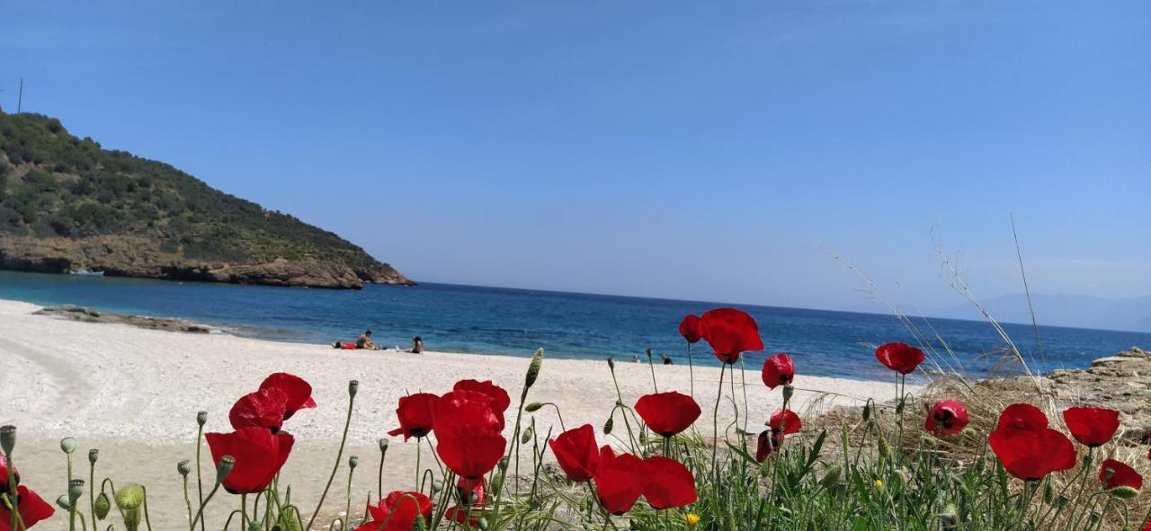 Rising Sun Guesthouse Mesochoria Ngoại thất bức ảnh